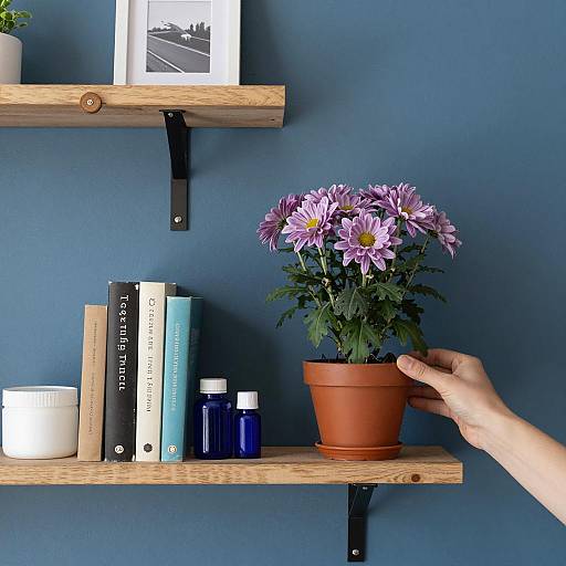 Charming Still Life with Purple Chrysanthemum
