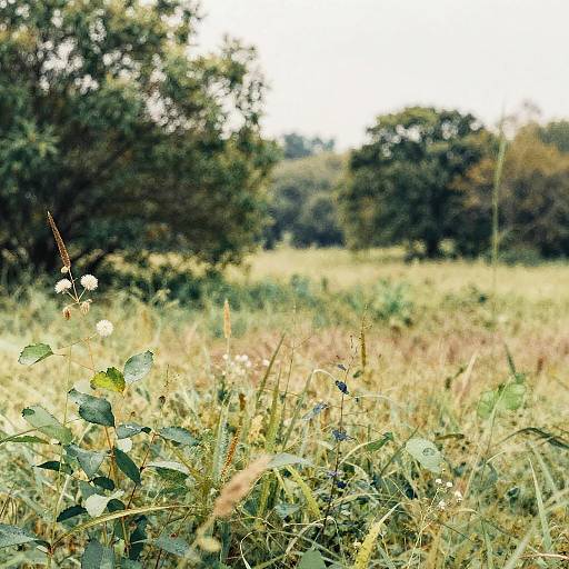 AI Morphing Nature Photo to Watercolor