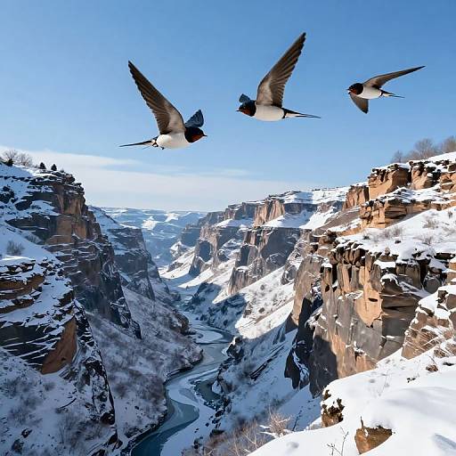 Photograph of three swallows flying over a snowy, rugged canyon with steep cliffs and a winding river, under a clear blue sky.