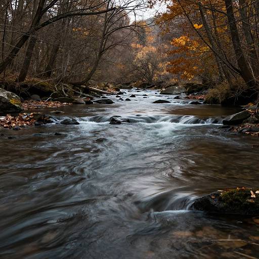 Sentient River Whispering Autumn Secrets