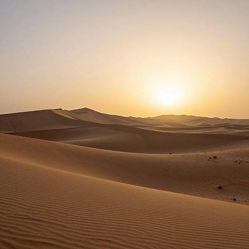 Photograph of a serene desert sunset, with golden sunlight casting warm hues over rippled sand dunes under a clear, gradient sky.