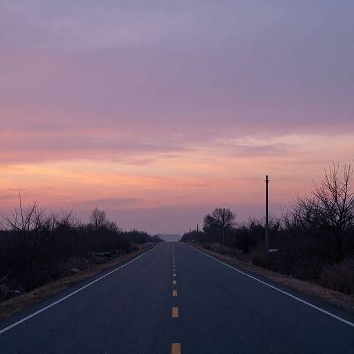 Photograph of a deserted, straight road at sunset, with a pink and purple sky, bare trees on either side, and a lone utility pole on