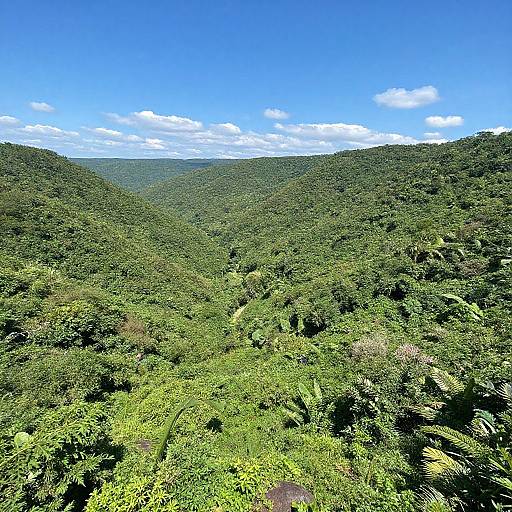 BD Adventure in Lush Green Landscapes