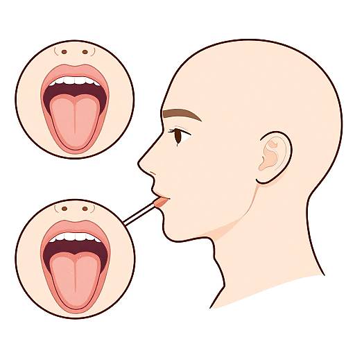 Mewing Instructions Tongue Posture Diagram