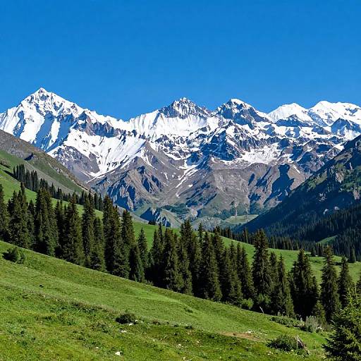 Photograph of a vibrant mountain landscape with snow-capped peaks under a bright blue sky, surrounded by green grassy hills and dense pine trees.
