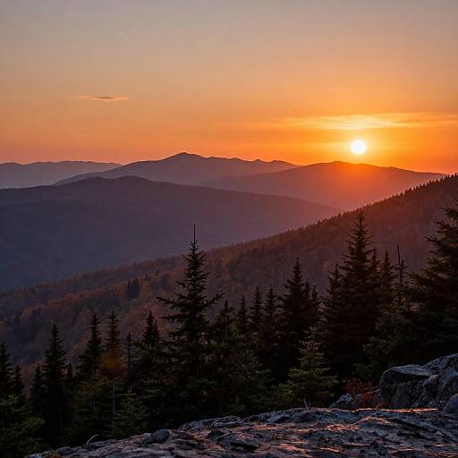 Photograph of a vibrant sunset over a forested mountain range, with silhouetted pine trees in the foreground and layers of blue-hued hills