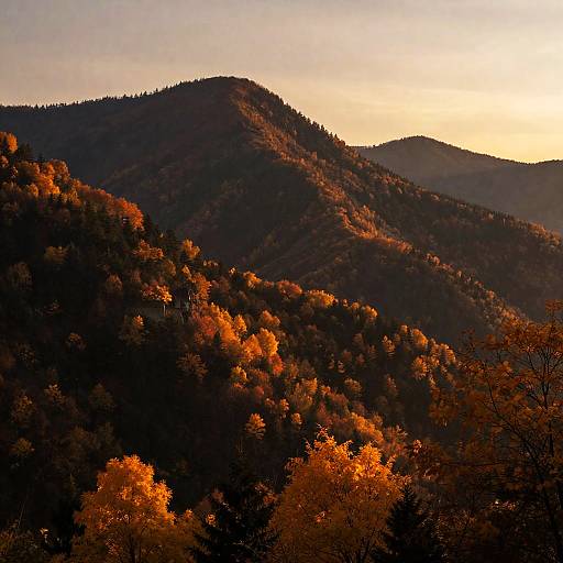 Golden Autumn Mountain Range at Twilight