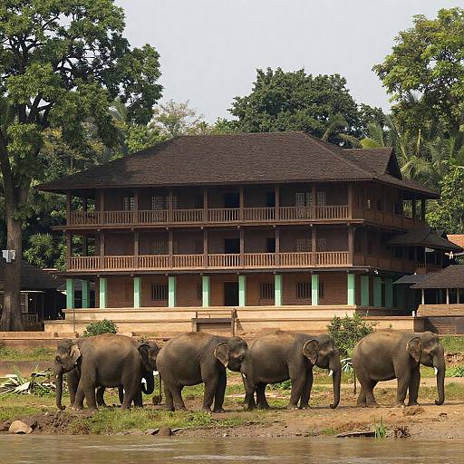 Elephants Grazing Near a Grand Building
