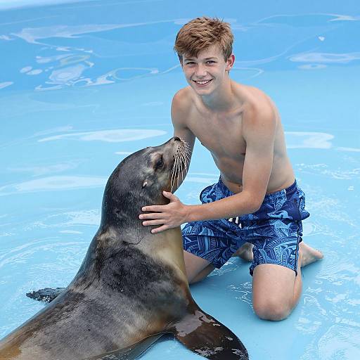 Playful Moment with a Sea Lion