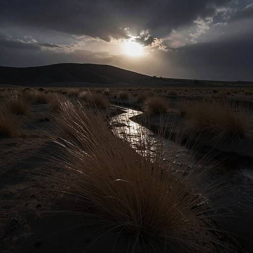 Moody Desert Dusk Landscape