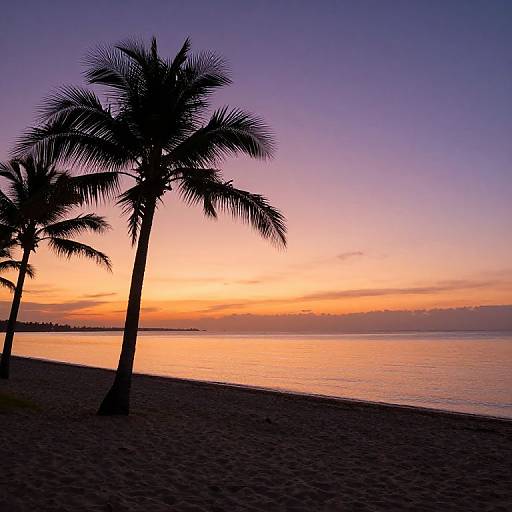 Photograph of a serene beach at sunset with silhouetted palm trees, a vibrant orange and purple sky, and calm ocean water.