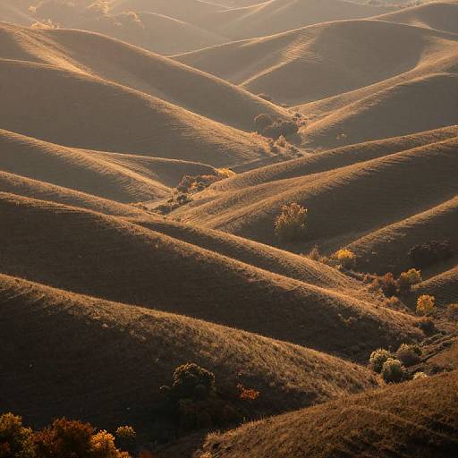 Photograph of rolling hills bathed in golden sunlight, with gentle shadows creating a textured, wavy pattern. Autumn foliage in yellow and orange dots the