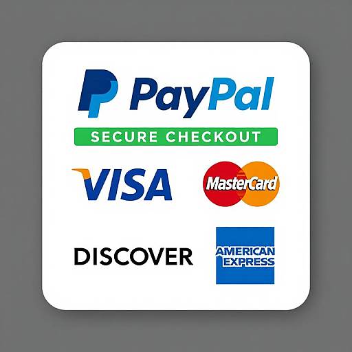 Colorful Secure Payment Icons Graphic
