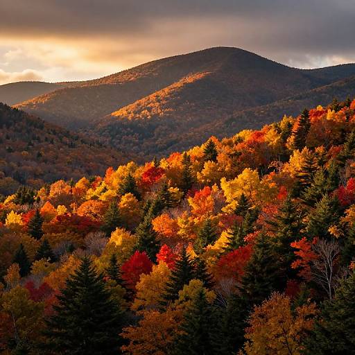 Vibrant Adirondack Autumn Landscape