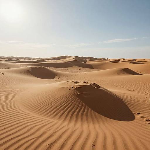 Silent Desert of Auditory Memories