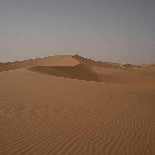 Photograph of a vast, desert landscape with rippled, orange sand dunes under a clear, blue sky. Smooth, undulating sand forms elegant