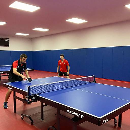 Poitou-Charentes Regional Tennis Table Stages