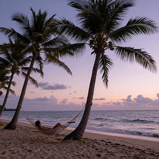 Photograph of a person in a hammock between tall palm trees, relaxing on a sandy beach at sunset with a colorful sky and gentle ocean waves.