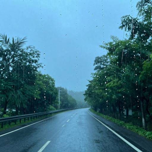 Rainy Road Through Misty Greenery