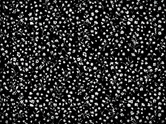 Elegant Dark Floral Pattern Wallpaper