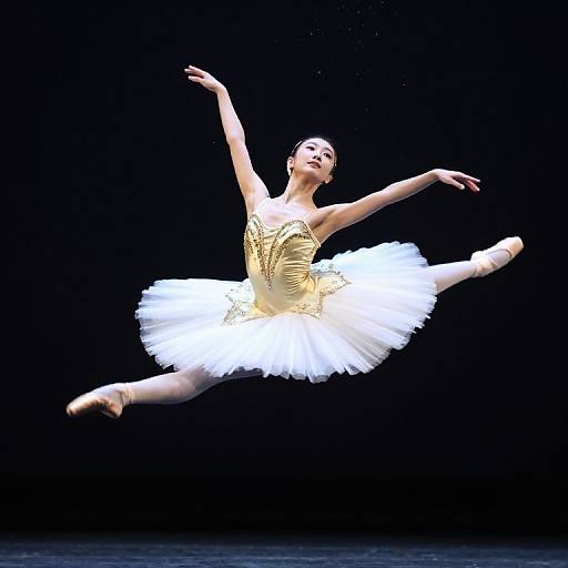 Graceful Ballet Dancer Mid-Leap