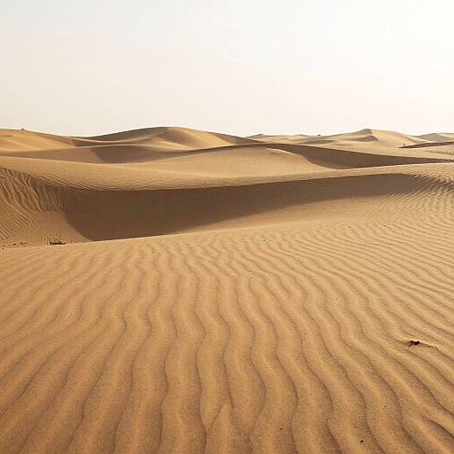 Minimalist Sandy Peninsula Abstraction