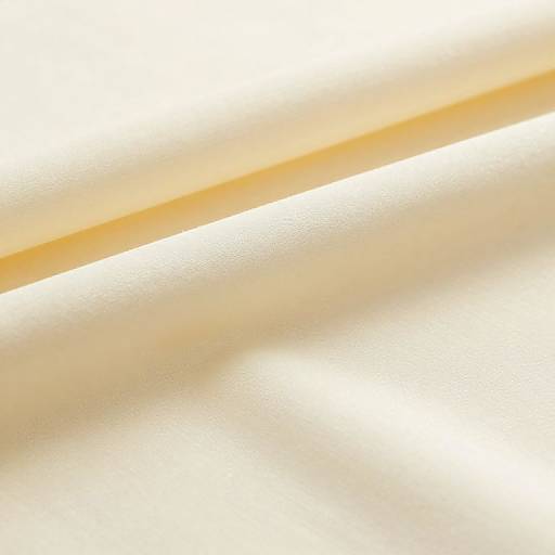 Close-Up of Delicious Crepe