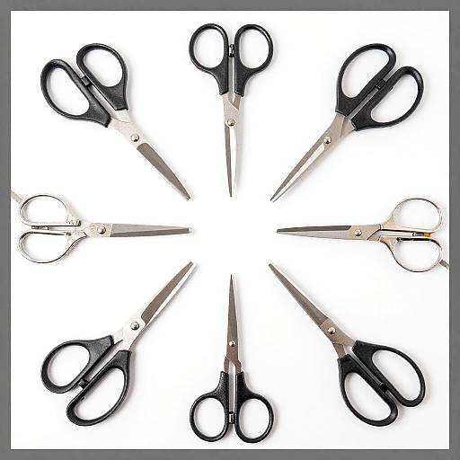 Flat Lay of Various Metal Scissors