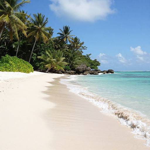 Photograph of a tropical beach with white sand, turquoise water, palm trees, and a clear blue sky with scattered clouds.